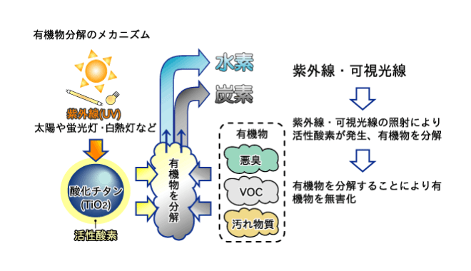 有機物分解のメカニズム